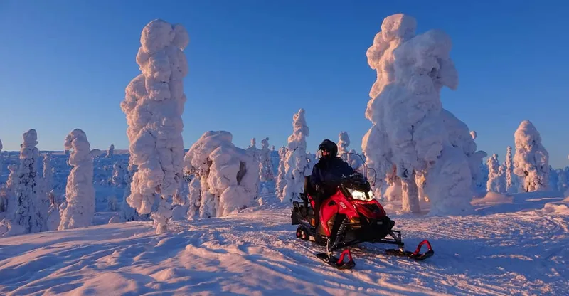 Evening Snowmobile Safari — snowmobile tour in Levi