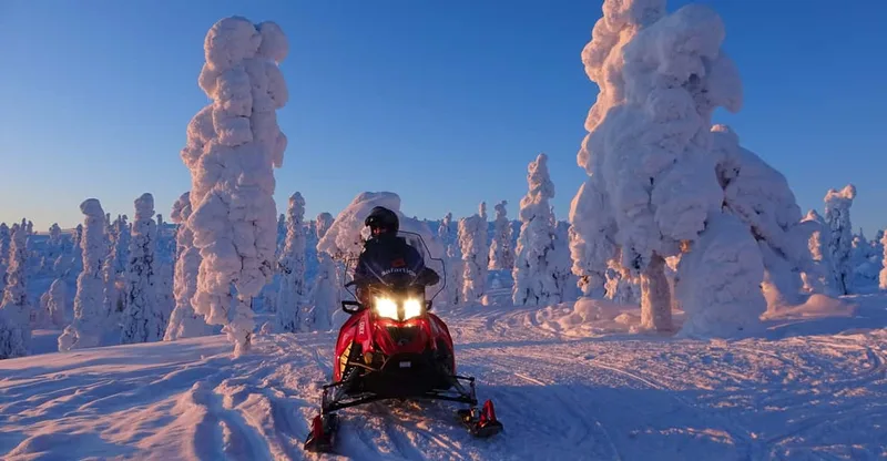 Evening Snowmobile Tour with Fire & picnic — snowmobile tour in Saariselkä