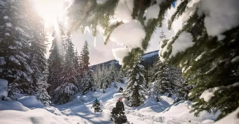 2-Hour Wilderness Adventure Snowmobile Tour — snowmobile tour in Whistler